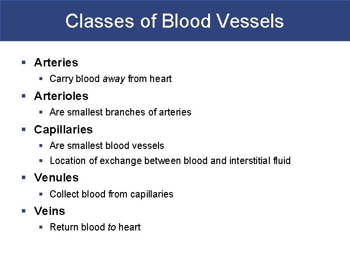 Classes of Blood Vessels § Arteries § Carry blood away from heart § Arterioles