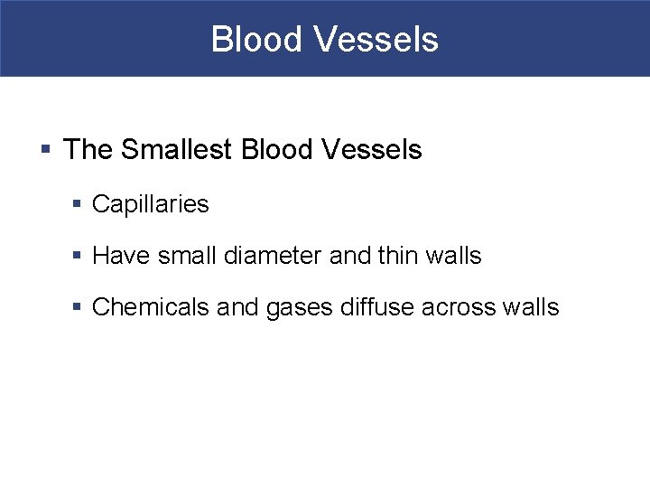 Blood Vessels § The Smallest Blood Vessels § Capillaries § Have small diameter and