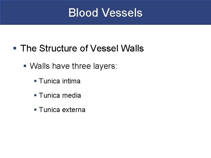 Blood Vessels § The Structure of Vessel Walls § Walls have three layers: §