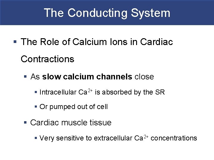 The Conducting System § The Role of Calcium Ions in Cardiac Contractions § As