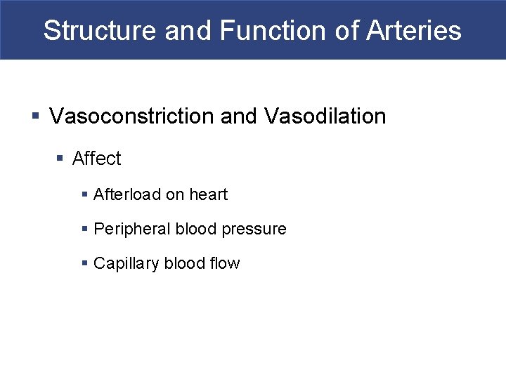 Structure and Function of Arteries § Vasoconstriction and Vasodilation § Affect § Afterload on
