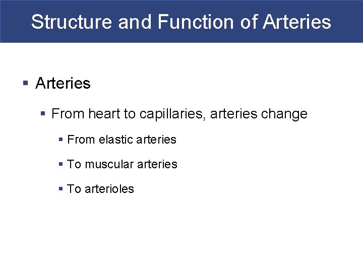 Structure and Function of Arteries § From heart to capillaries, arteries change § From