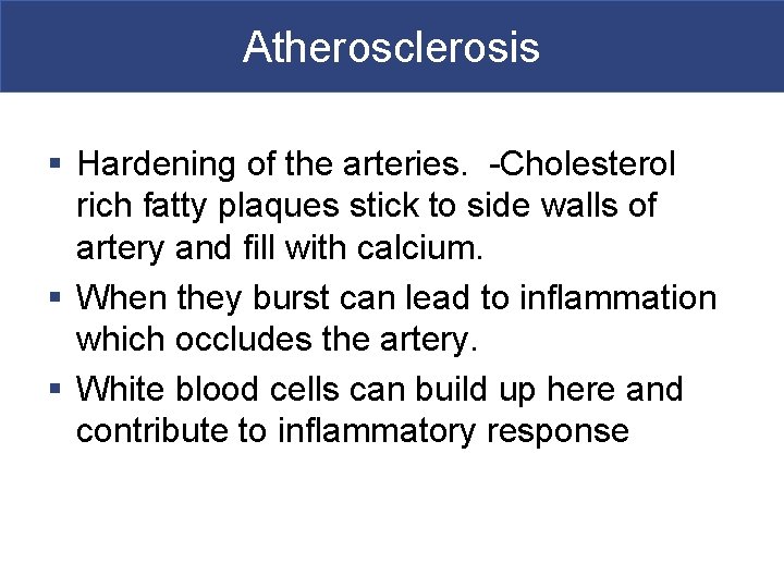 Atherosclerosis § Hardening of the arteries. -Cholesterol rich fatty plaques stick to side walls