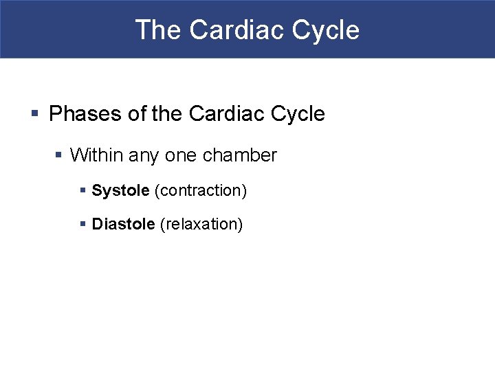 The Cardiac Cycle § Phases of the Cardiac Cycle § Within any one chamber