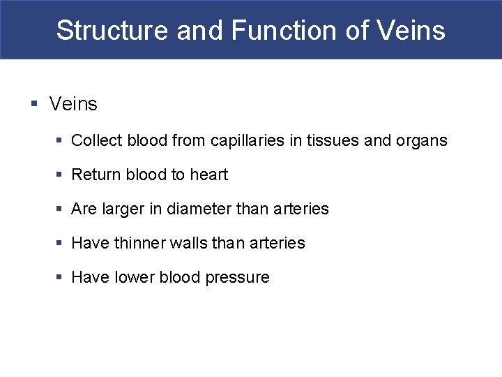 Structure and Function of Veins § Collect blood from capillaries in tissues and organs