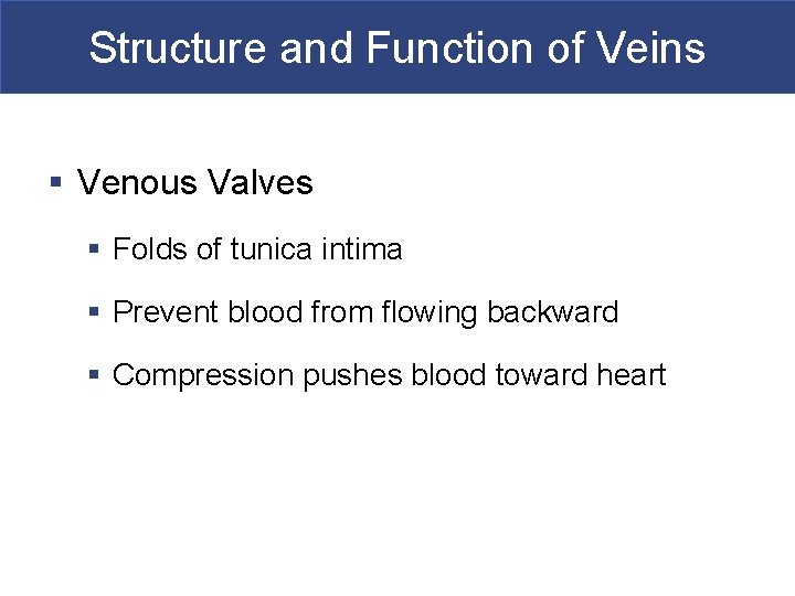 Structure and Function of Veins § Venous Valves § Folds of tunica intima §