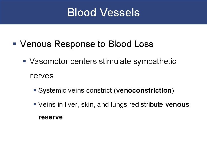 Blood Vessels § Venous Response to Blood Loss § Vasomotor centers stimulate sympathetic nerves