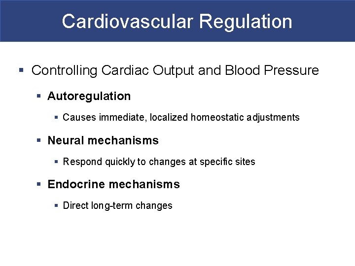 Cardiovascular Regulation § Controlling Cardiac Output and Blood Pressure § Autoregulation § Causes immediate,