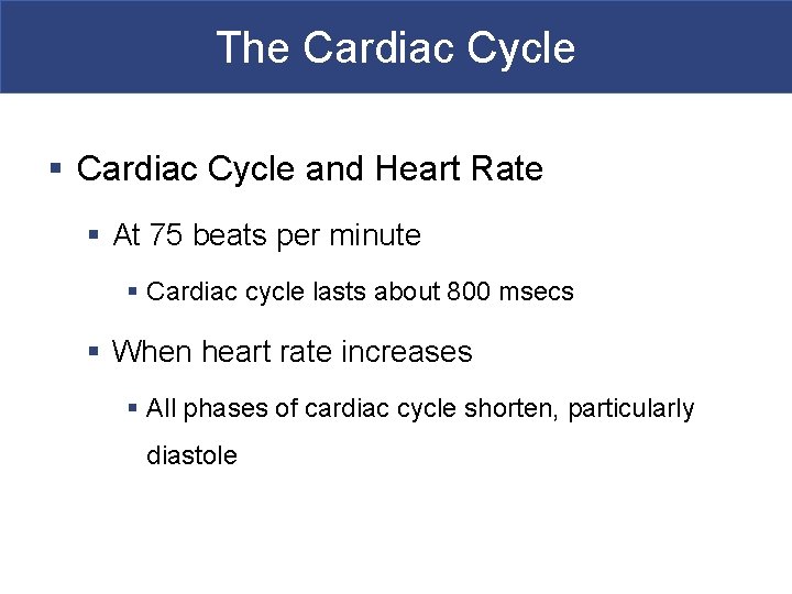 The Cardiac Cycle § Cardiac Cycle and Heart Rate § At 75 beats per