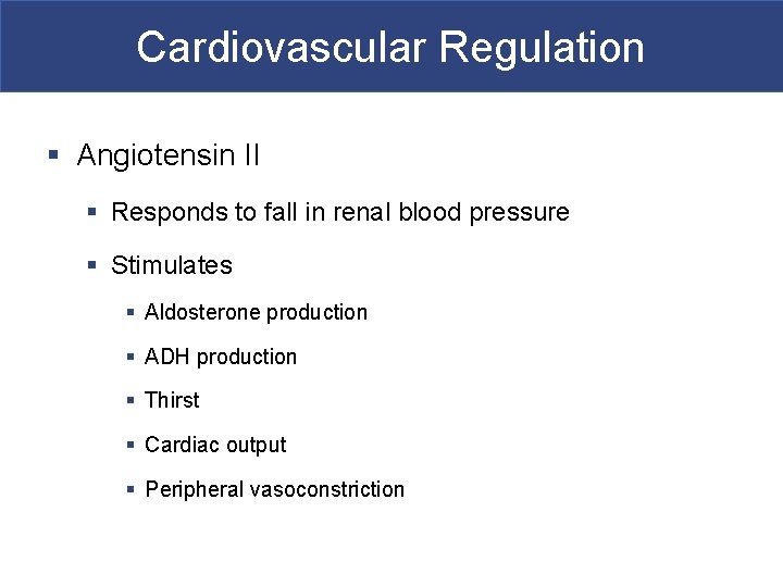 Cardiovascular Regulation § Angiotensin II § Responds to fall in renal blood pressure §