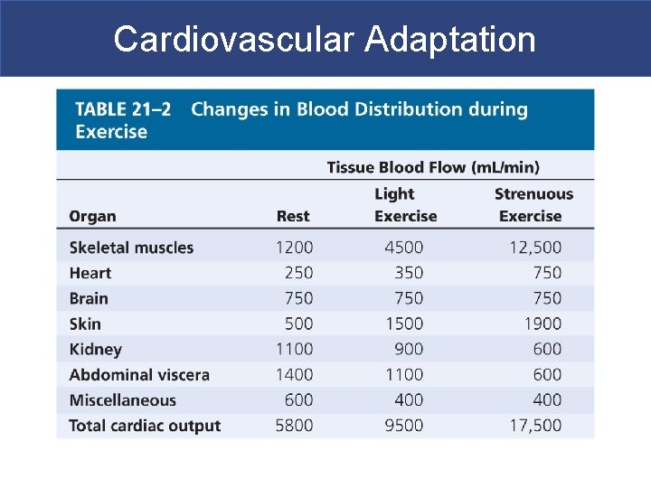 Cardiovascular Adaptation 