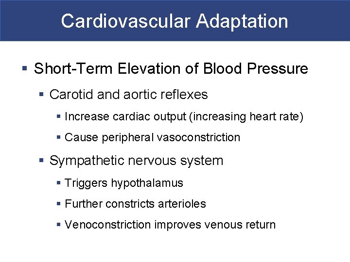 Cardiovascular Adaptation § Short-Term Elevation of Blood Pressure § Carotid and aortic reflexes §
