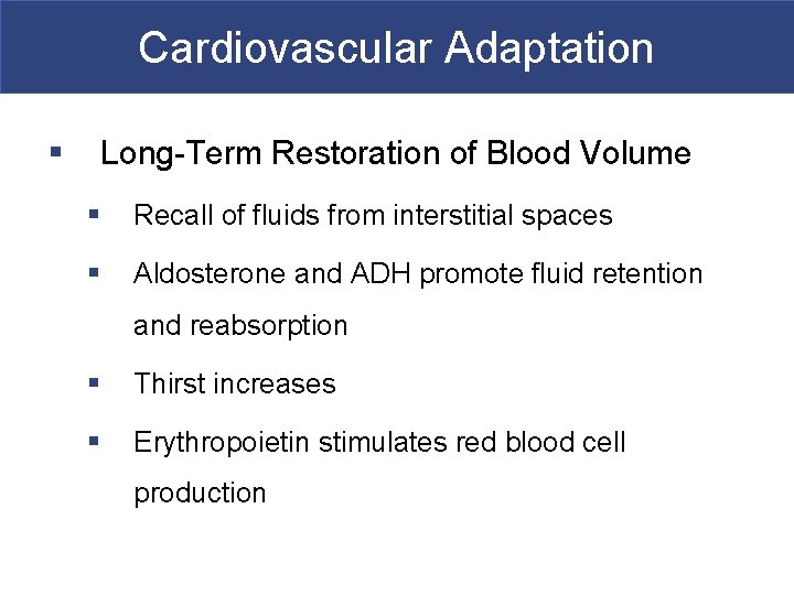 Cardiovascular Adaptation § Long-Term Restoration of Blood Volume § Recall of fluids from interstitial