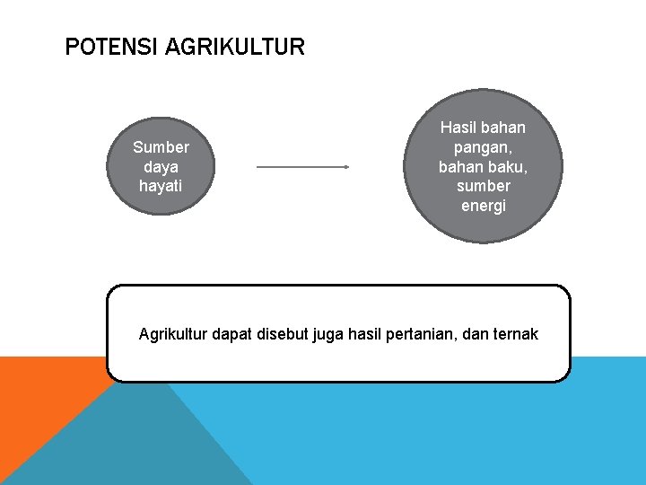 POTENSI AGRIKULTUR Sumber daya hayati Hasil bahan pangan, bahan baku, sumber energi Agrikultur dapat