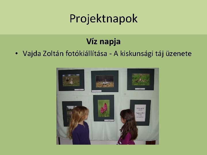 Projektnapok Víz napja • Vajda Zoltán fotókiállítása - A kiskunsági táj üzenete 