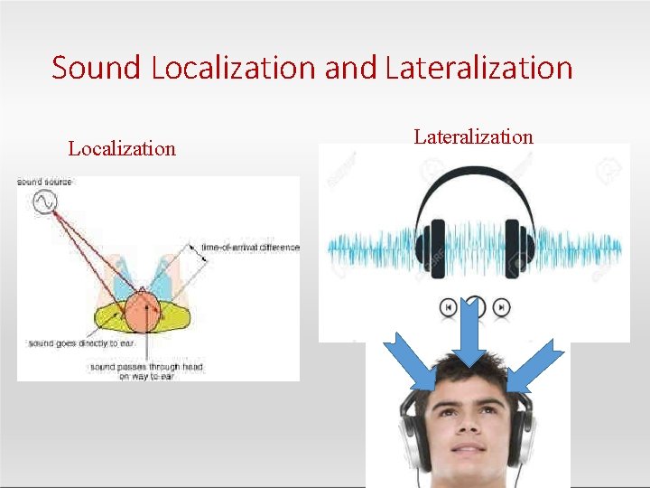 Sound Localization and Lateralization Localization Lateralization 