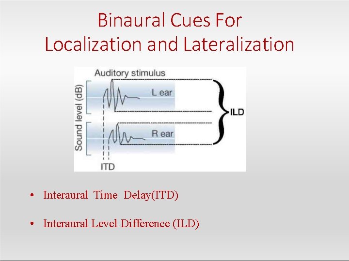 Binaural Cues For Localization and Lateralization • Interaural Time Delay(ITD) • Interaural Level Difference