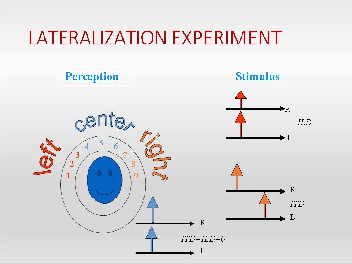 LATERALIZATION EXPERIMENT Perception Stimulus R ILD 2 1 3 4 5 6 L 7