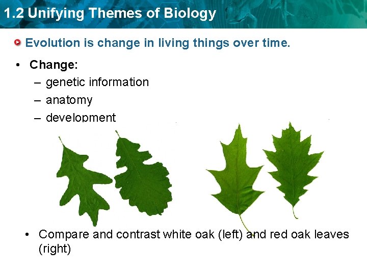1. 2 Unifying Themes of Biology Evolution is change in living things over time.