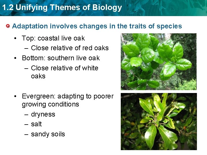 1. 2 Unifying Themes of Biology Adaptation involves changes in the traits of species