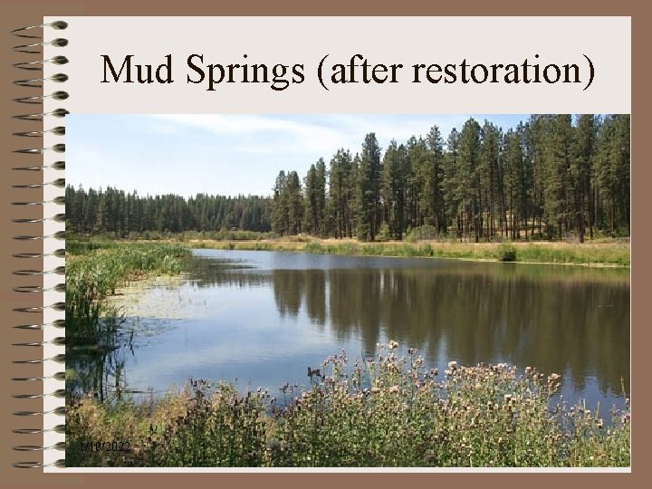 Mud Springs (after restoration) 1/10/2022 