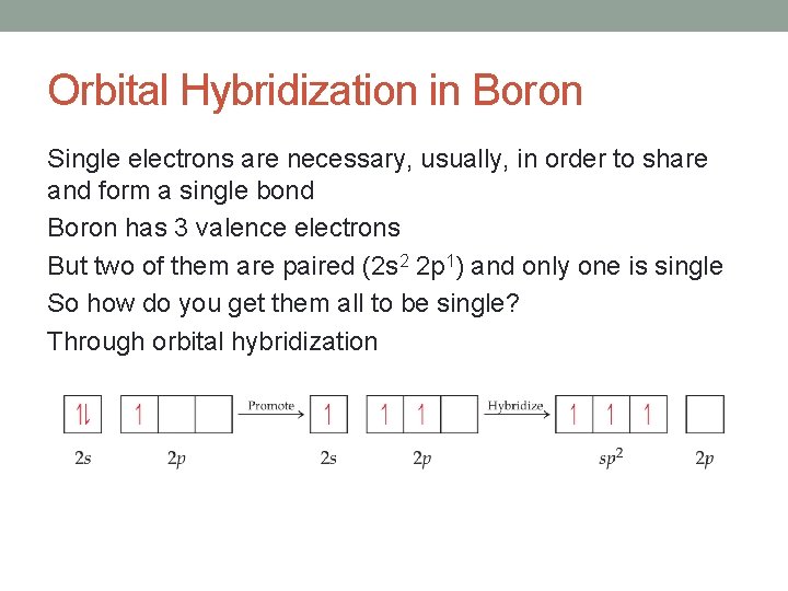Orbital Hybridization in Boron Single electrons are necessary, usually, in order to share and