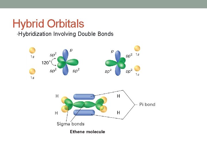 Hybrid Orbitals • Hybridization Involving Double Bonds 