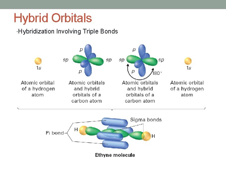 Hybrid Orbitals • Hybridization Involving Triple Bonds 