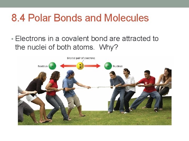 8. 4 Polar Bonds and Molecules • Electrons in a covalent bond are attracted
