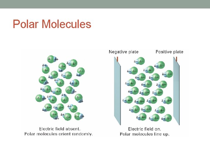 Polar Molecules 