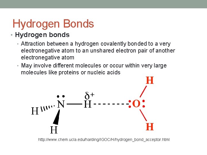 Hydrogen Bonds • Hydrogen bonds • Attraction between a hydrogen covalently bonded to a