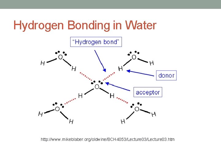 Hydrogen Bonding in Water http: //www. mikeblaber. org/oldwine/BCH 4053/Lecture 03. htm 
