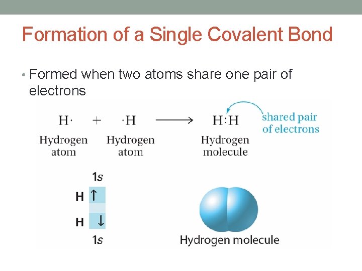 Formation of a Single Covalent Bond • Formed when two atoms share one pair