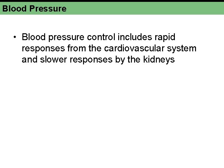 Blood Pressure • Blood pressure control includes rapid responses from the cardiovascular system and