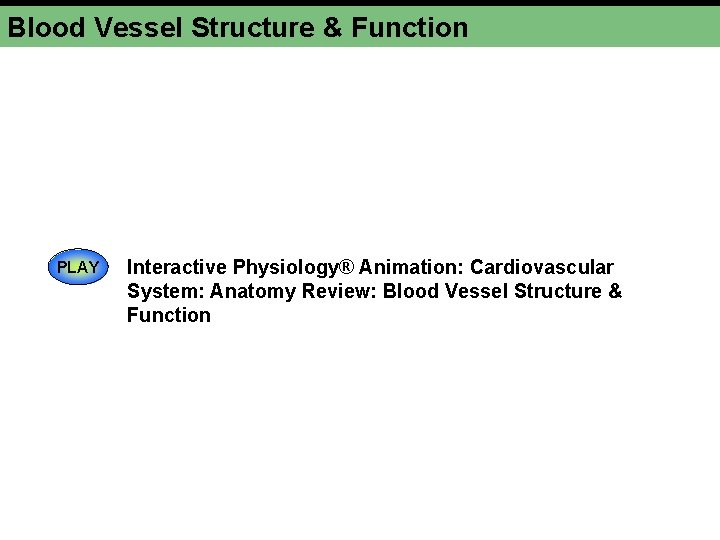 Blood Vessel Structure & Function PLAY Interactive Physiology® Animation: Cardiovascular System: Anatomy Review: Blood