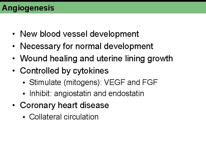 Angiogenesis • • New blood vessel development Necessary for normal development Wound healing and