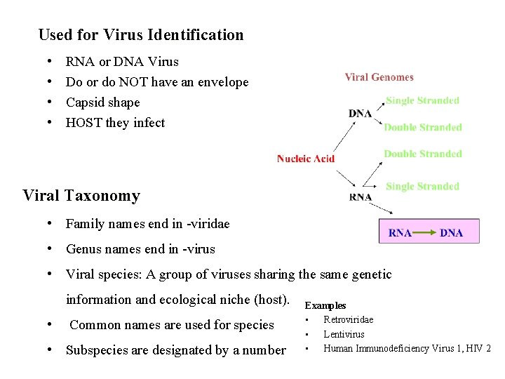 Used for Virus Identification • • RNA or DNA Virus Do or do NOT