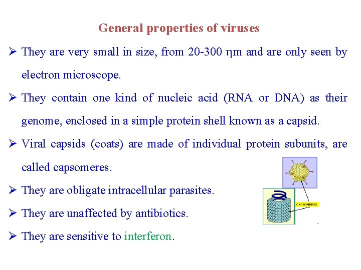 General properties of viruses Ø They are very small in size, from 20 -300
