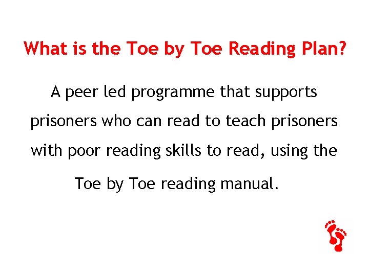 What is the Toe by Toe Reading Plan? A peer led programme that supports