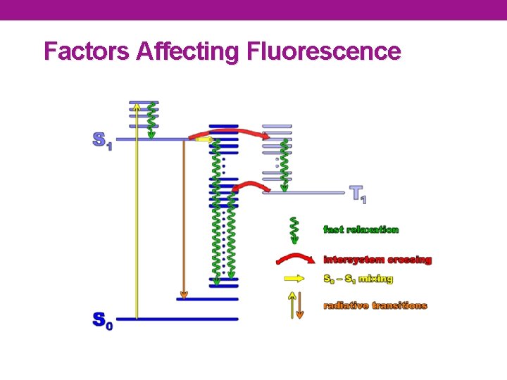 Factors Affecting Fluorescence 