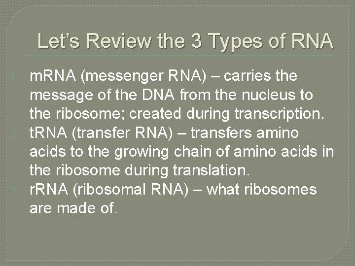 Let’s Review the 3 Types of RNA 1. 2. 3. m. RNA (messenger RNA)