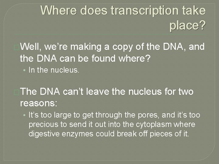 Where does transcription take place? �Well, we’re making a copy of the DNA, and
