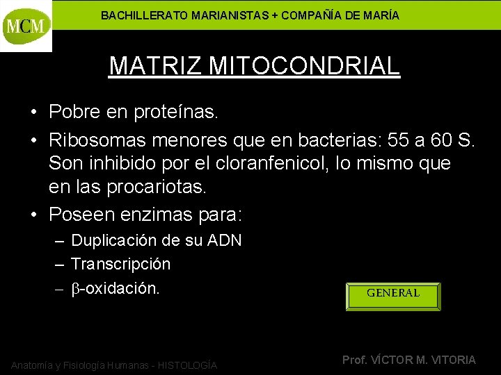 BACHILLERATO MARIANISTAS + COMPAÑÍA DE MARÍA MATRIZ MITOCONDRIAL • Pobre en proteínas. • Ribosomas