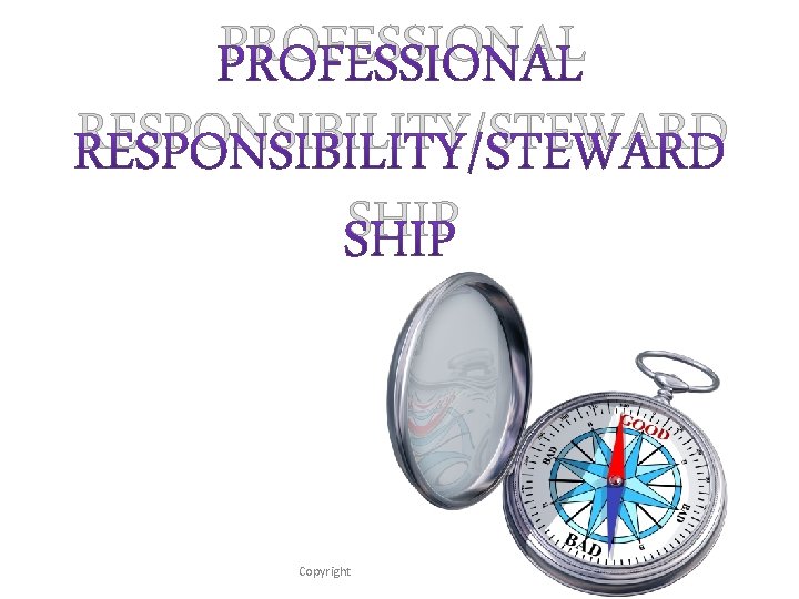 PROFESSIONAL RESPONSIBILITY/STEWARD SHIP Copyright 2012 - Lighthouse Network 4 