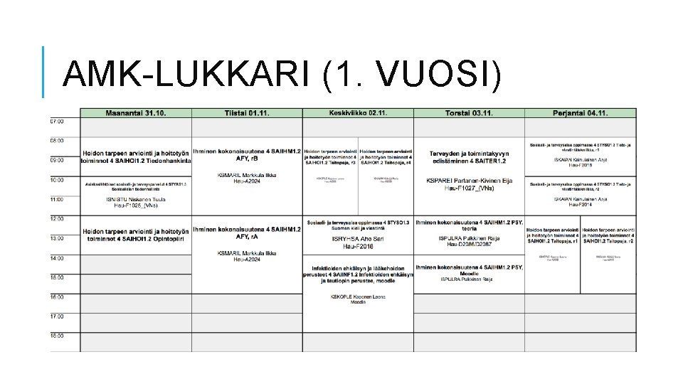 AMK-LUKKARI (1. VUOSI) 