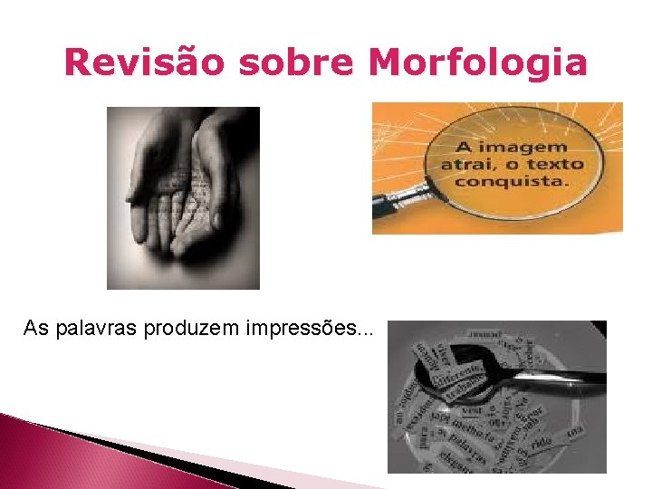 Revisão sobre Morfologia As palavras produzem impressões. . . 