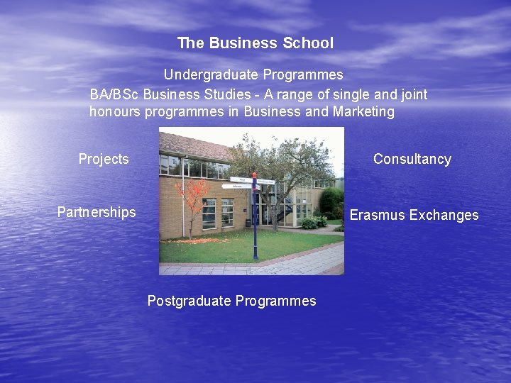 The Business School Undergraduate Programmes BA/BSc Business Studies - A range of single and
