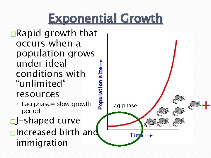 �Rapid Exponential Growth growth that occurs when a population grows under ideal conditions with