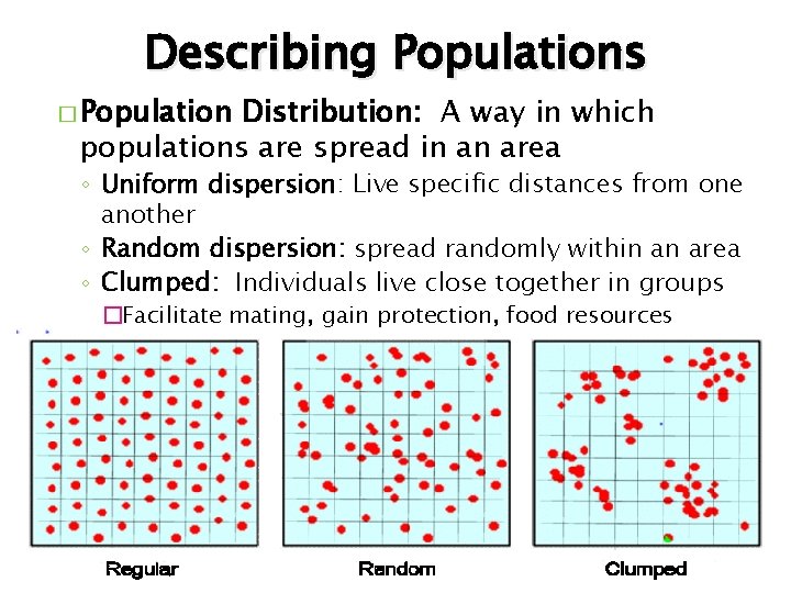 Describing Populations � Population Distribution: A way in which populations are spread in an