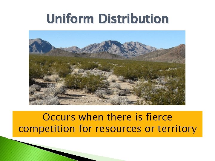 Uniform Distribution Occurs when there is fierce competition for resources or territory 